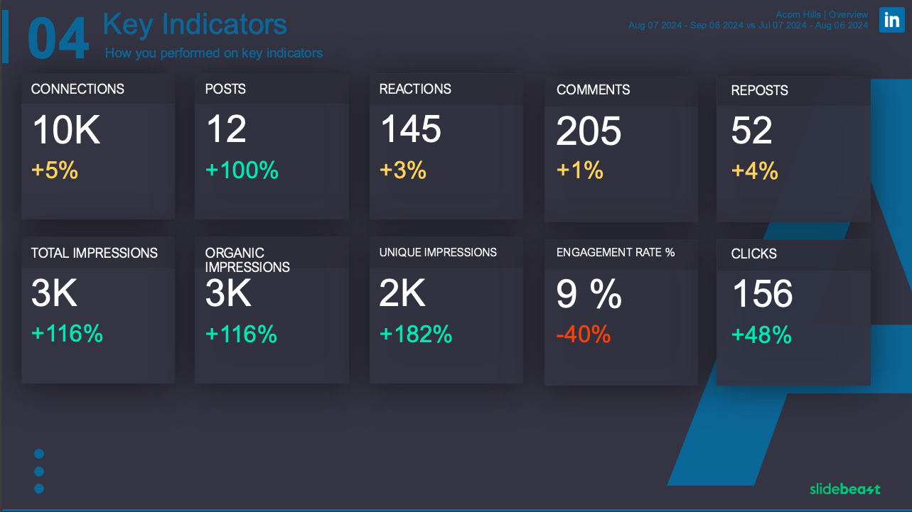 Slidebeast LinkedIn Report Overview Section